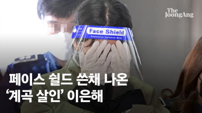 [속보] '계곡살인' 이은해·조현수 구속…"도주 우려"