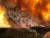2019년 12월 30일 호주 베른스데일 인근 지역에서 산불이 번지면서 불꽃과 함께 거대한 연기 기둥이 솟아오르고 있다. AP=연합뉴스