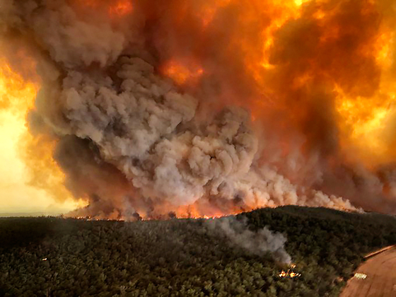 호주 2020년 대형 산불 기후변화 탓이냐, 벌목 탓이냐 질긴 논쟁