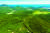 지난 2000년 강원도 고성 산불 피해 지역을 20년 뒤인 지난 2020년 5월의 모습. 사진에서 도로 오른쪽 소나무를 조림한 지역은 물론 자연 복원이 진행되도록 한 왼쪽도 활엽수가 잘 자란 것을 볼 수 있다. 장진영 기자.