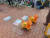 23일 오후 서울 혜화역 인근 마로니에공원에서 '개혁과전환 촛불행동연대' 측이 주최한 집회에서 한 시민이 강아지 모양의 풍선을 끌고 있다. 나운채 기자