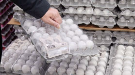 사료값 뛰자 계란값 10% 올랐다…8개월만에 7000원 다시 돌파