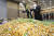  28일 인천본부세관에서 세관원들이 중국산 불법 문신 마취크림 등 압수품을 살펴보고 있다. 김경록 기자
