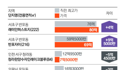 집값 양극화…강남 9억 오를 때, 의왕 4억 떨어졌다