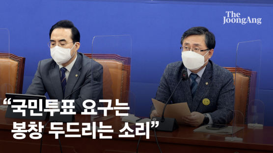 민주당 "尹 측 느닷없이 국민투표 요구…자다가 봉창 두드리는 소리"