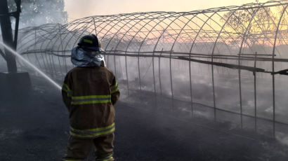 청주 양계장서 화재…병아리 4만2000마리 폐사