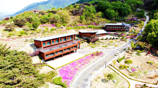 영천시 보현산자연휴양림, 6월1일 부분 재개장