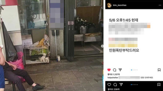 김건희 "세상에나ㅠ"…"민원폭탄 부탁드려요" 캡처 글, 뭐길래