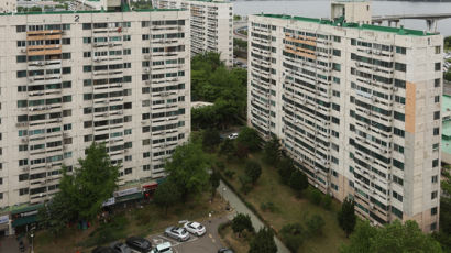 [사진] 51년 된 시범아파트 60층 재건축 추진