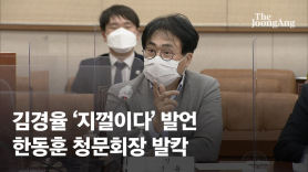 김경율 "민주당, 대장동 주범 尹이라 지껄여"…청문회장 발칵
