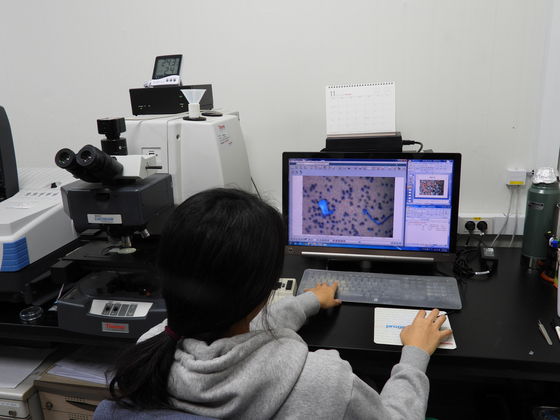 한국해양과학원에서 연구원이 미세플라스틱을 관찰하고 있다. 중앙포토