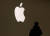 11일(현지시각) 뉴욕증시에 애플은 전날보다 5.18% 하락한 146.5달러에 마감했다. 시총은 2조3711억 달러(약 3040조원)로 쪼그라들었다. 사진은 애플스토어 여의도점의 모습. 뉴스1