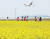 13일 인천국제공항 하늘정원 유채꽃밭에서 나들이를 즐기는 시민들 위로 비행기가 지나고 있다.   연합뉴스