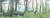 2022 아트부산에서 바톤 갤러리가 선보이는 김보희 작가 대형 작품. 가로 길이가 5m다. [사진 아트부산]