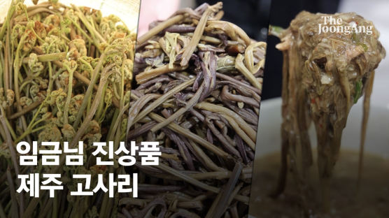 ㎏당 10만원…제주 고사리가 소고기 보다 비싼 이유는?