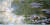 국립중앙박물관에 전시 중인 모네의 ‘수련’. 1918년 이후. 구름과 나무 그늘로 나뉘고, 그 사이에 여섯 송이 수련이 꽃망울을 터트리고 있다. [사진 국립중앙박물관]