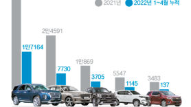 대형 SUV 점유율 95.7%, 현대차·기아만 달린다