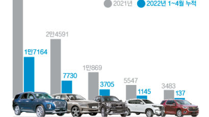 대형 SUV 점유율 95.7%, 현대차·기아만 달린다