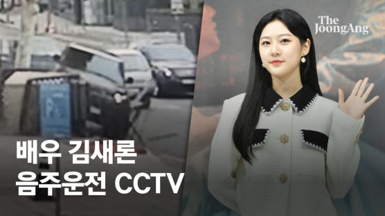 '만취운전' 김새론 동승자, 연예인 아니었다…방조죄 처벌되나