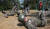 39사단 장병들이 폭염 속에서 유격훈련을 받고 있다. 중앙포토