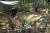 2002년 개구리소년 유골이 발견된 대구시 달서구 와룡산 현장에 화환이 놓여 소년들의 영혼을 위로하고있다. 중앙포토 