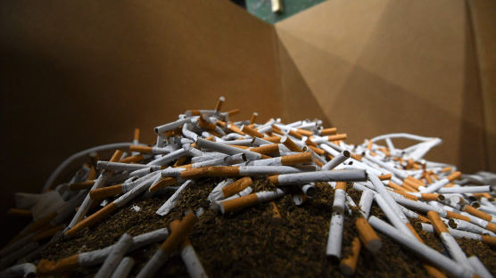 담배가 플라스틱 쓰레기 주범?…지구를 위한 '그린 노담' 가이드