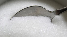 ‘설탕 값 오르나’ 인도, 밀 이어 설탕 수출 물량 제한