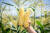 5월이 제철인 초당옥수수를 고를 땐 껍질과 모양, 알갱이를 잘 살펴봐야 한다. 사진 대한민국농수산
