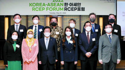 “RCEP, 세계 최대 FTA…한국·아세안 미래 통상체계 구축”