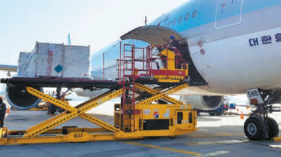 [국민의 기업] 전용 항공기로 홍콩·싱가포르에 고품질 딸기 1584톤 수출 지원
