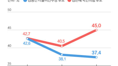 김은혜 "일산대교 무료화"…'젊은 표심' 김포·고양 뒤집었다 [중앙일보 여론조사]