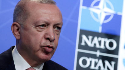 스웨덴 나토 가입 막은 터키…그 뒤엔 '터키의 푸틴'의 앙심