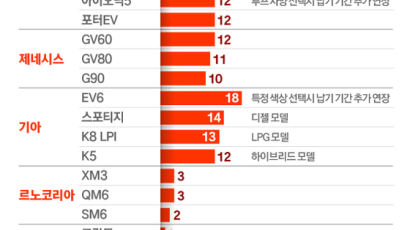 EV6 18개월, 스포티지 14개월, 투싼 12개월…새차 ‘하세월’