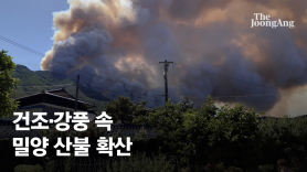 밀양 산불 확산… 100가구 주민 476명 대피령 이어 전국 동원령 1호
