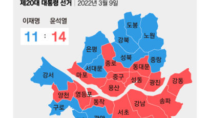 경기 시·군 31곳 중 9곳서 광역·기초단체장 색깔 달랐다