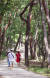  가벼운 옷차림으로 숲길을 걷는 시민들. 김경록 기자