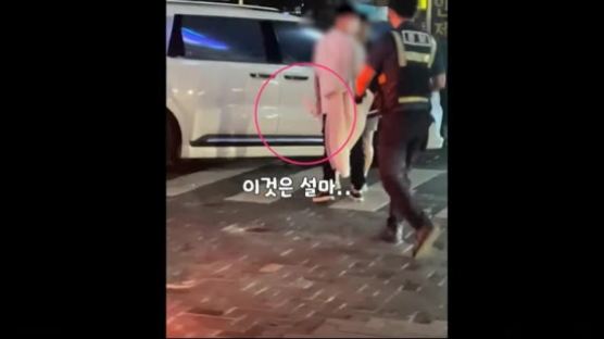 식칼 협박범, 삼단봉 제압한 경찰…"눈보다 빨라" 30초 영상