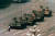 1989년 중국에서 벌어진 ‘6.4 천안문 사태’를 상징하는 사진. 천안문 광장에서 이동하는 탱크 부대를 중국의 한 남성이 가로막고 있다. 이 남성이 누구인지는 알려지지 않았다. [로이터=연합뉴스]