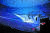 미국 라스베이거스 얼리전트 스타디움에서 열린 그룹 방탄소년단(BTS)의 ‘BTS 퍼미션 투 댄스 온 스테이지-라스베이거스’ 콘서트 모습. [사진 빅히트뮤직]