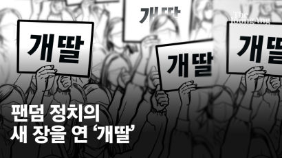 [영상] 득일까 독일까… 지난 3개월 민주당 휩쓴 '개딸'의 역사