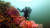 스쿠버 다이빙은 제주도의 바다를 즐기는 가장 역동적인 여행법이다. 사진 제주관광공사