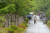 여름을 재촉하는 비가 내린 14일 경북 포항시의 숲에서 시민들이 산책로를 따라 걷고 있다. 뉴스1