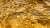 8세기 통일신라 시대 금박 유물인‘선각단화쌍조문금박’ 세부 모습. 0.05㎜ 굵기의 선으로 문양을 새겨놓았다. [사진 국립경주문화재연구소]