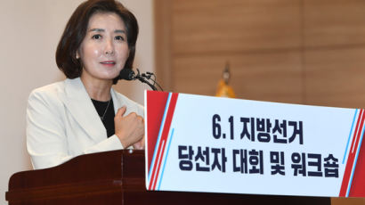 검찰, 나경원 아들 '연구 4저자 등재 의혹' 무혐의