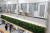 데이룸에 설치된 공기정화 식물. 장진영 기자 
