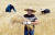 허성준 생극양조 대표가 지난 22일 양조장 앞에서 보리를 수확하고 있다. 프리랜서 김성태