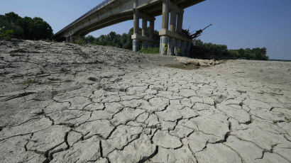 머리 2번 감으면 벌금 70만원 때린다…이탈리아 최악 가뭄 쇼크