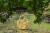 장미셸 오토니엘이 덕수궁 연못에 설치한 황금연꽃. 불교에서 연꽃은 고행과 깨달음을 의미한다. 스테인리스 스틸 구슬 위에 손으로 금박을 입혀 만들었다. 오토니엘의 작품은 자연, 건축과 어우러지며 기존의 공간을 새롭게 보이게 하는 효과를 발휘한다. [사진 서울시립미술관]