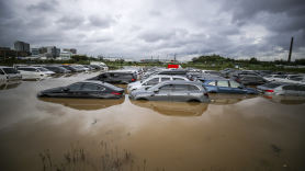 [포토타임] 손님 기다리던 중고차 물에 둥둥...기습 폭우로 침수된 자동차