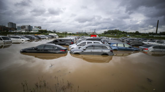 [포토타임] 손님 기다리던 중고차 물에 둥둥...기습 폭우로 침수된 자동차 
